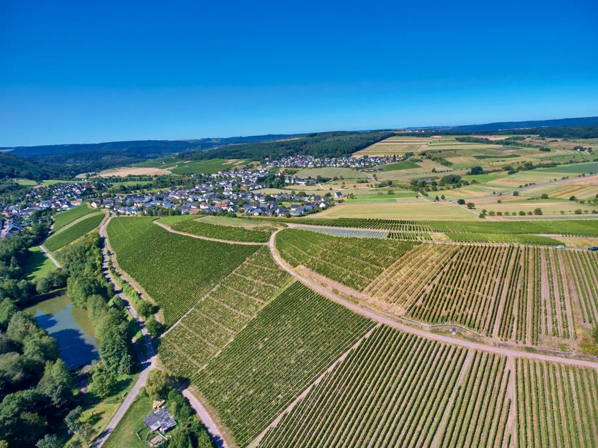 Ferienweingut Willems Oberemmel Bagian luar foto