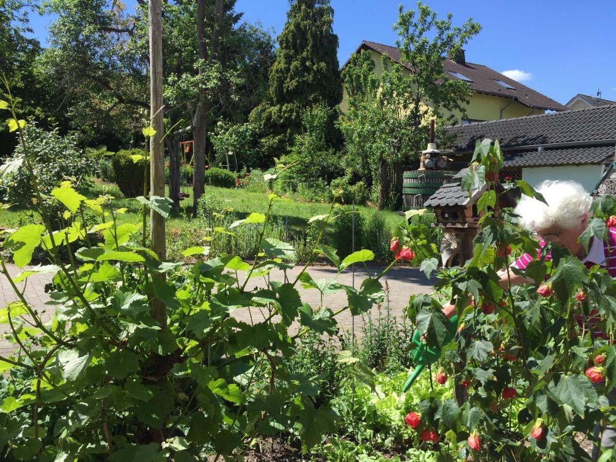 Ferienweingut Willems Oberemmel Bagian luar foto
