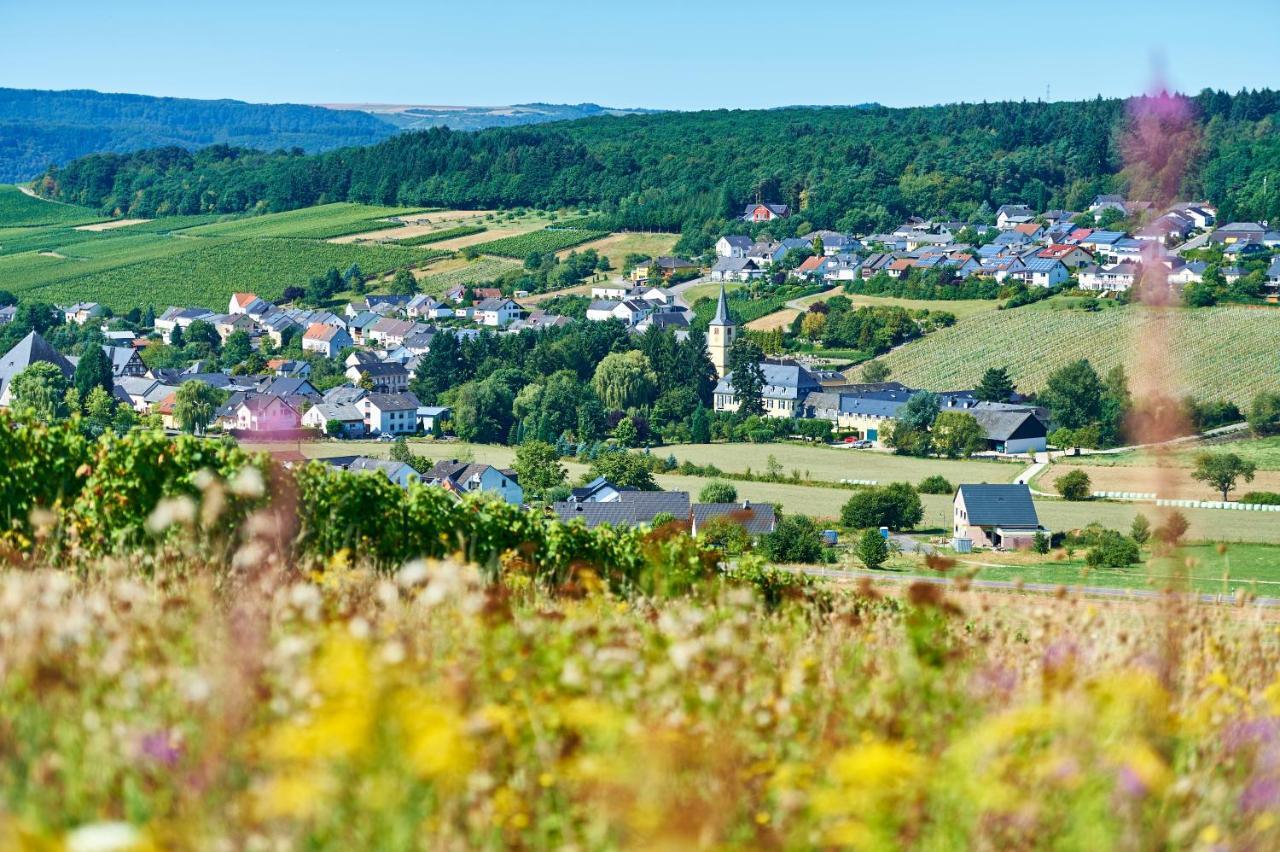 Ferienweingut Willems Oberemmel Bagian luar foto