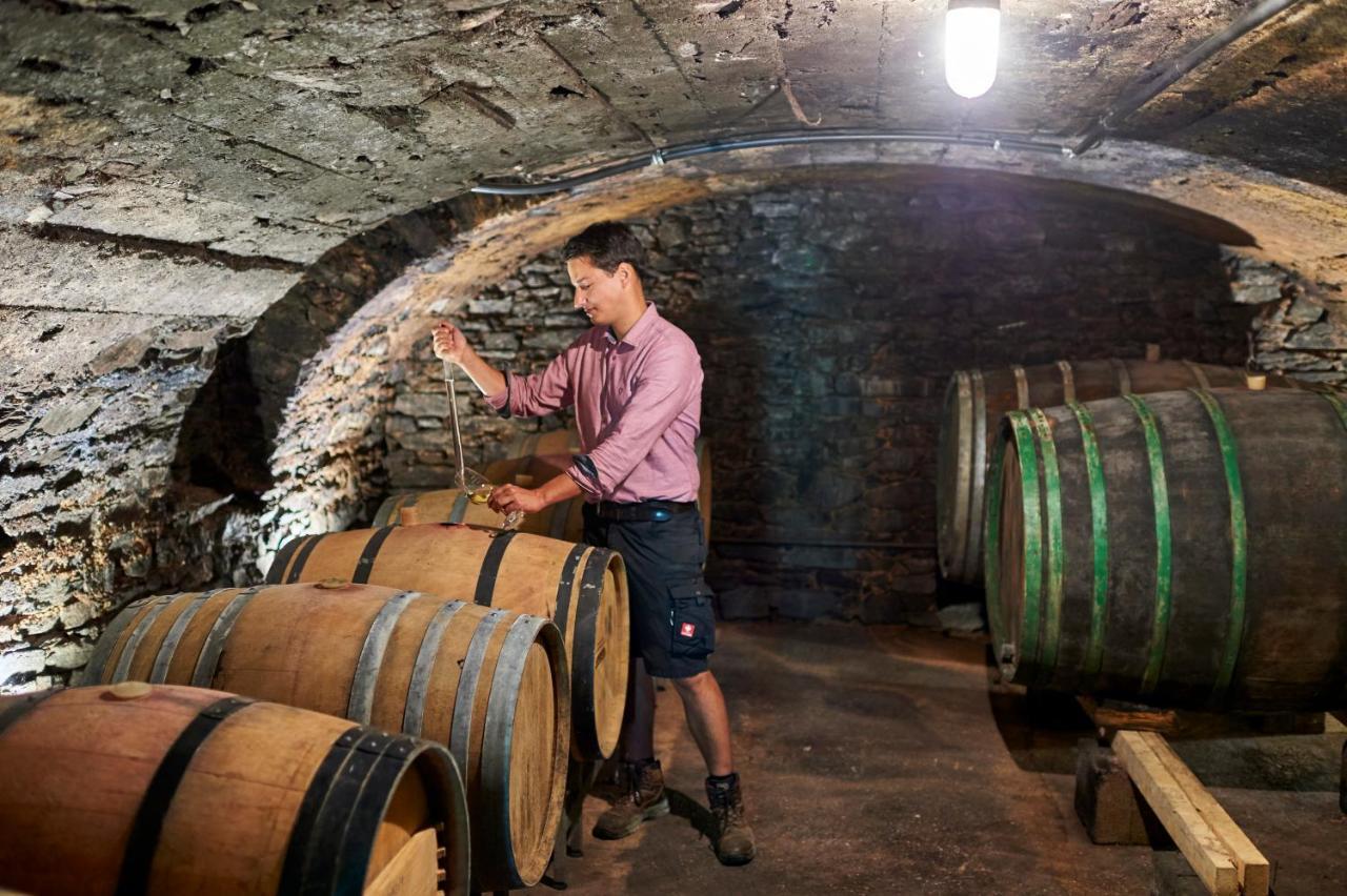 Ferienweingut Willems Oberemmel Bagian luar foto